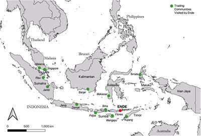 Co-governance, Transregional Maritime Conventions, and Indigenous Customary Practices Among Subsistence Fishermen in Ende, Indonesia